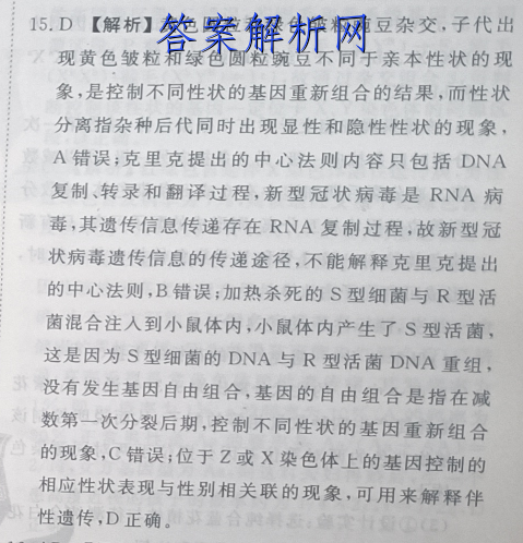 image.png@!test