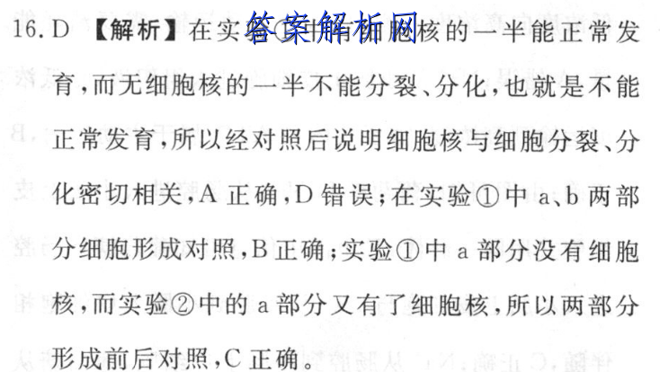 image.png@!test
