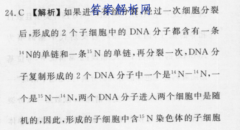 image.png@!test