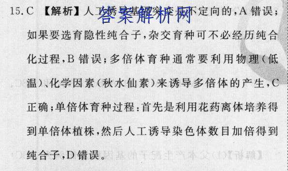 image.png@!test