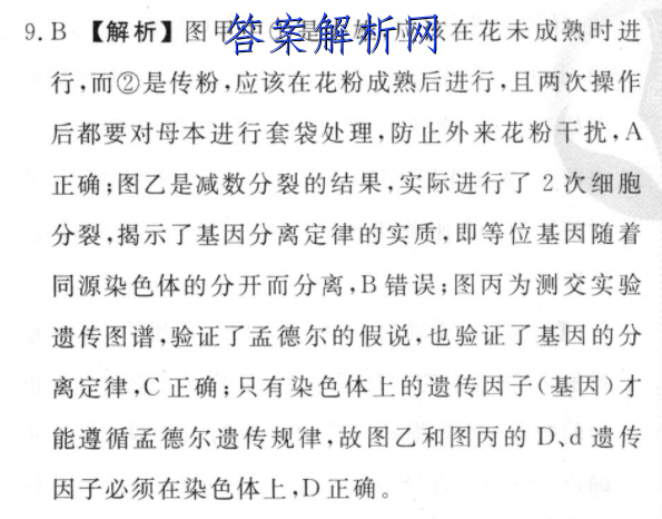 image.png@!test