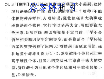 image.png@!test