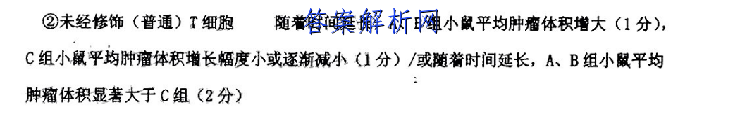image.png@!test