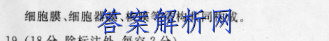 image.png@!test