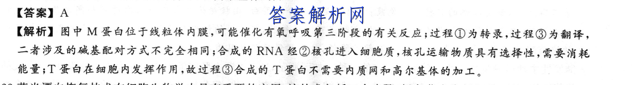 image.png@!test