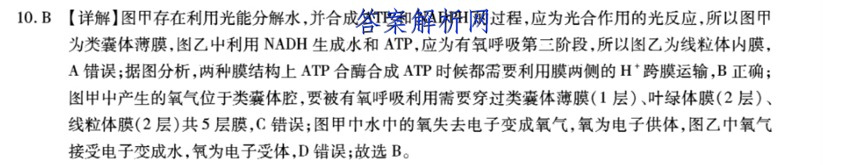 image.png@!test