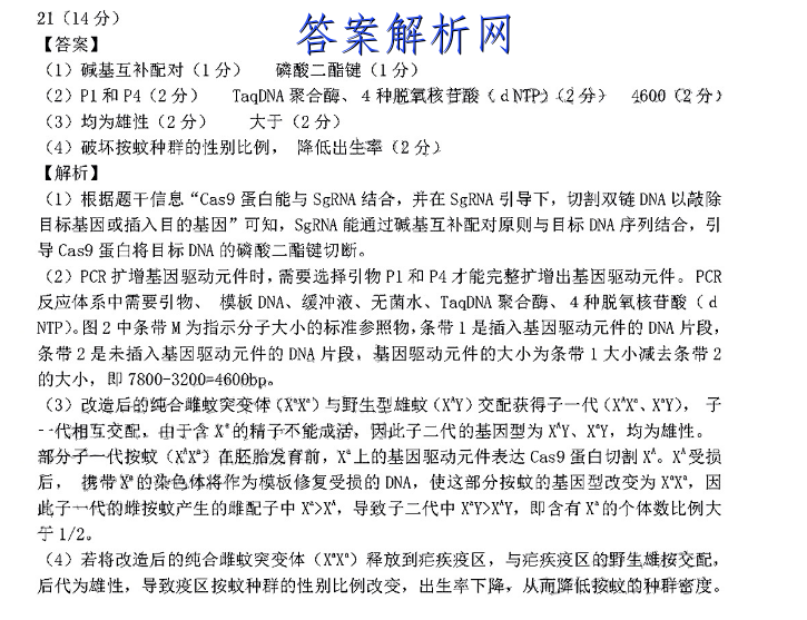 image.png@!test