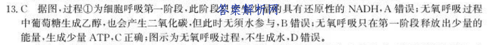 image.png@!test