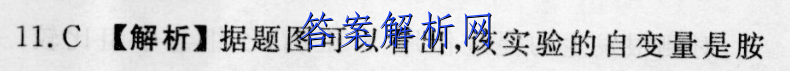 image.png@!test
