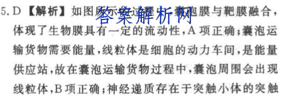 image.png@!test