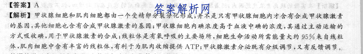 image.png@!test