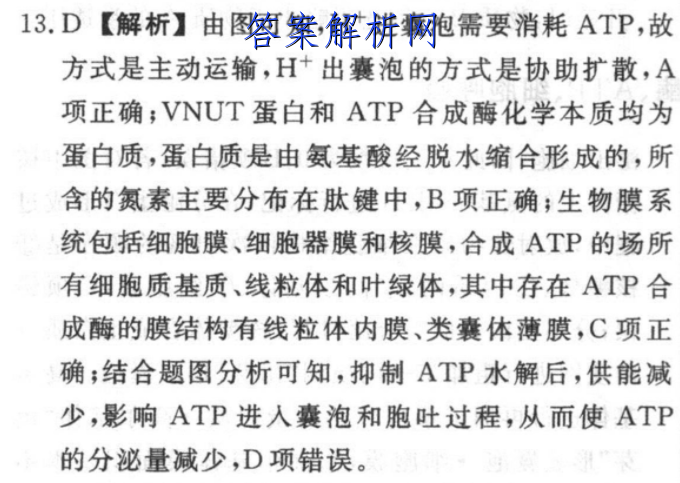 image.png@!test