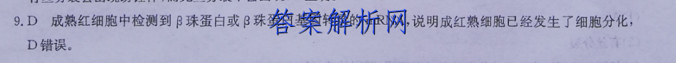 image.png@!test