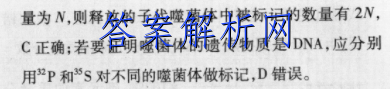 image.png@!test