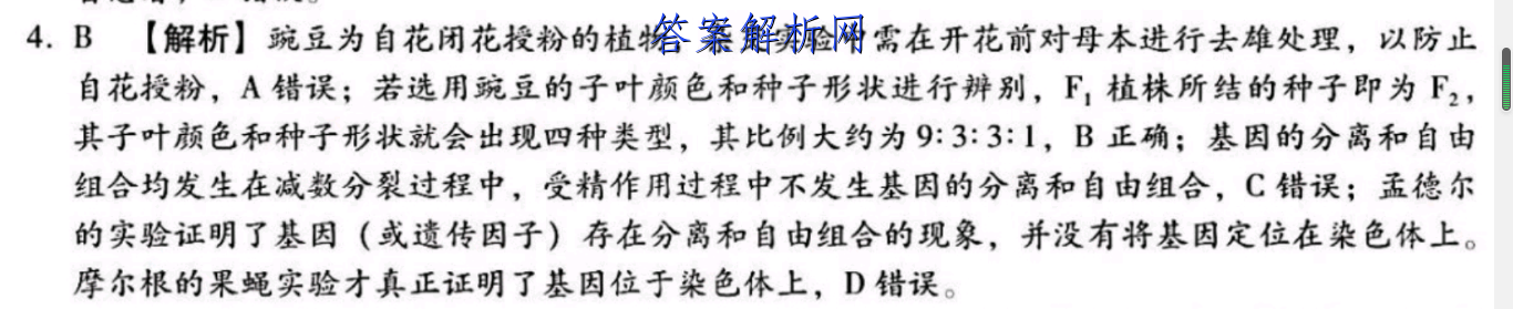 image.png@!test
