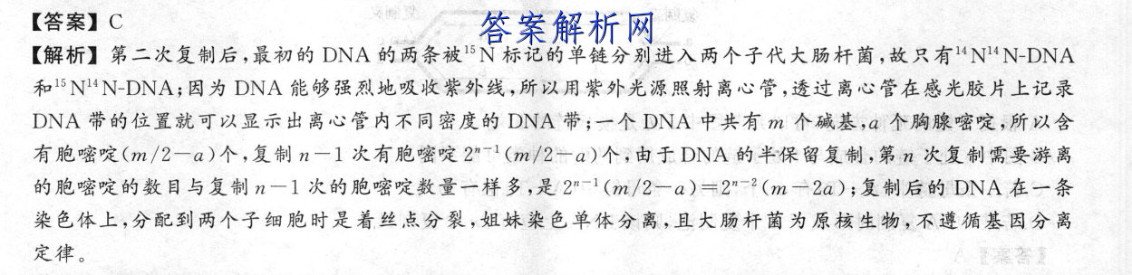 image.png@!test