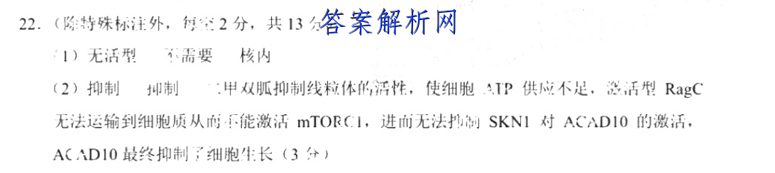 image.png@!test