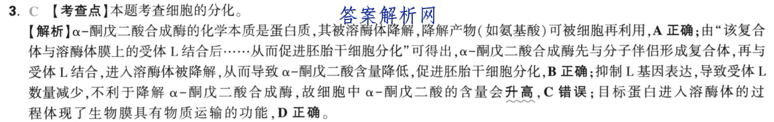 image.png@!test