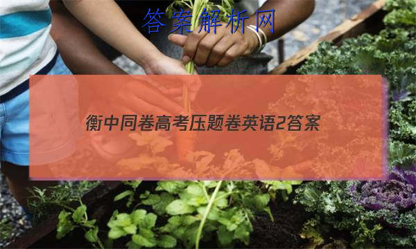 「2023衡中同卷高考压题卷英语2 答案」衡中同卷分科综合卷英语三
