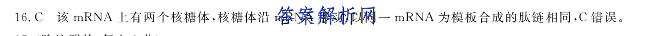 image.png@!test