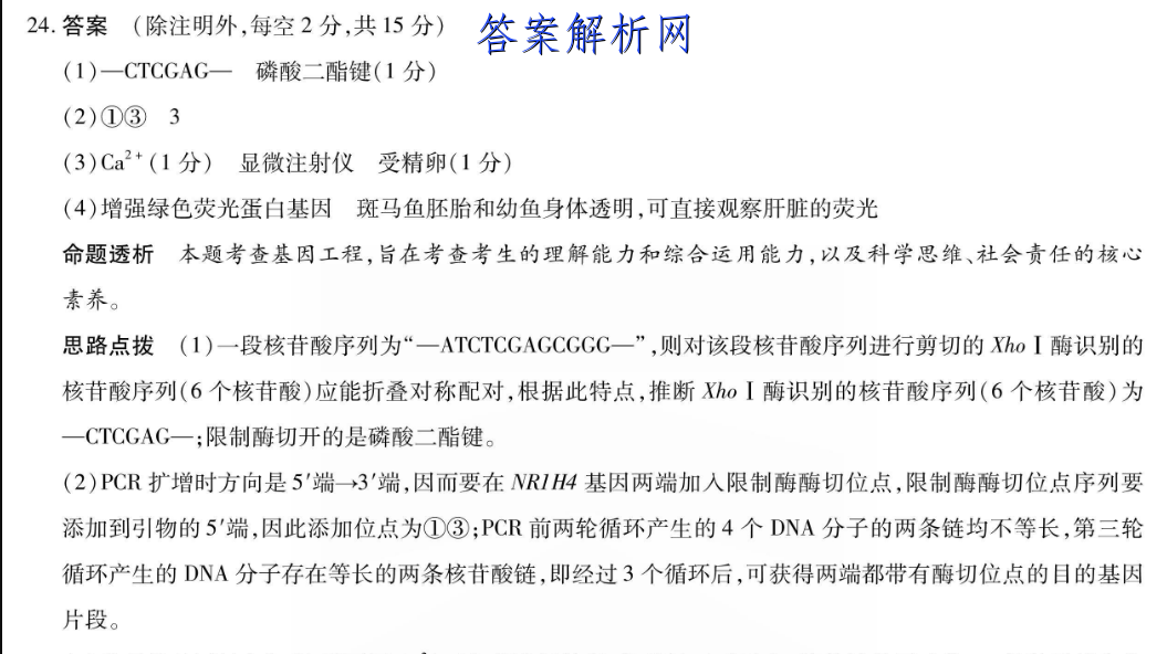 image.png@!test