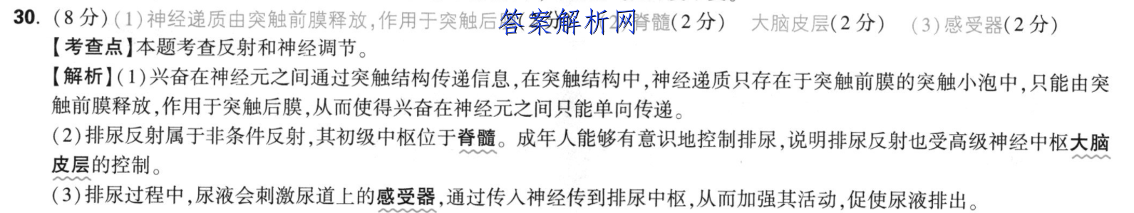 image.png@!test