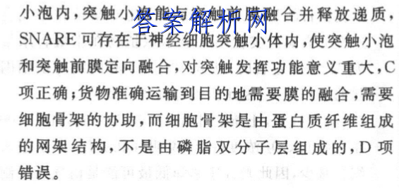 image.png@!test