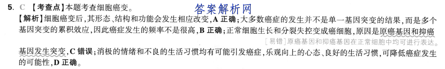 image.png@!test