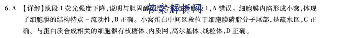 image.png@!test