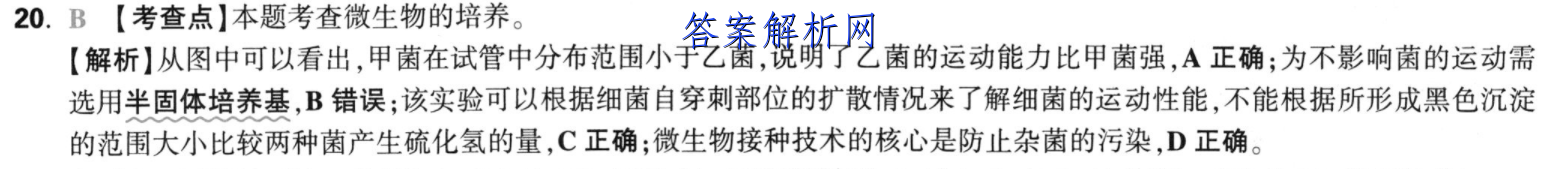 image.png@!test