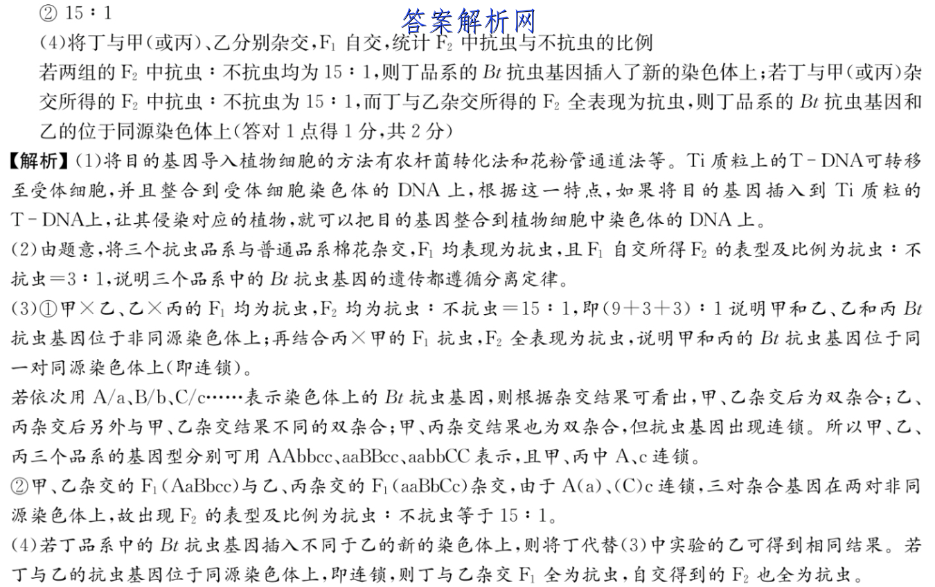 image.png@!test
