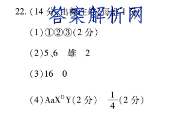 image.png@!test