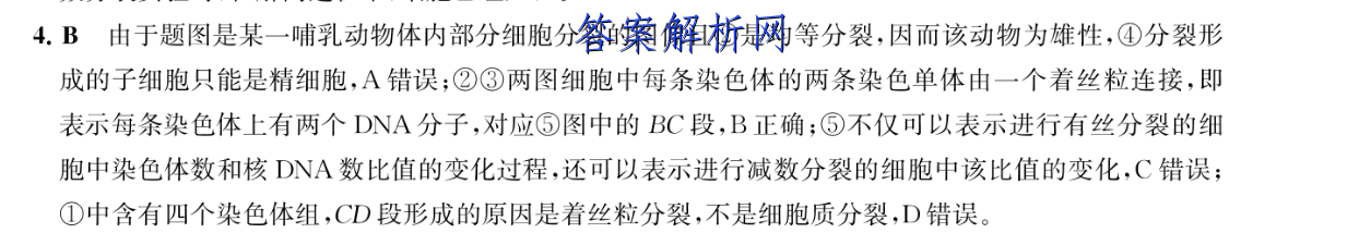 image.png@!test