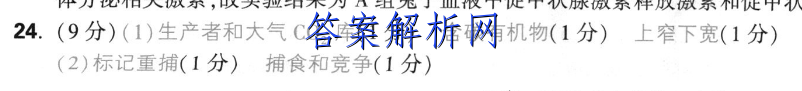 image.png@!test