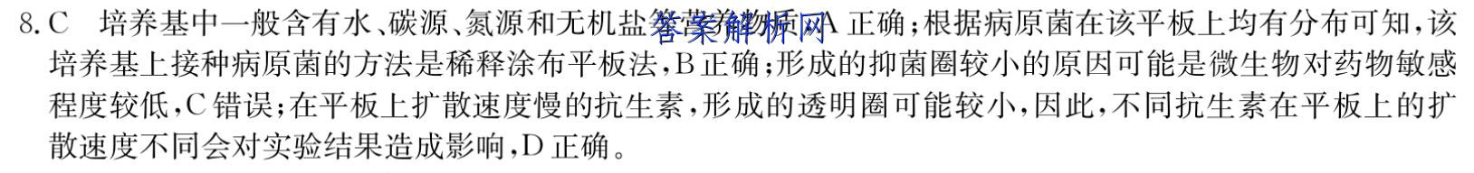 image.png@!test