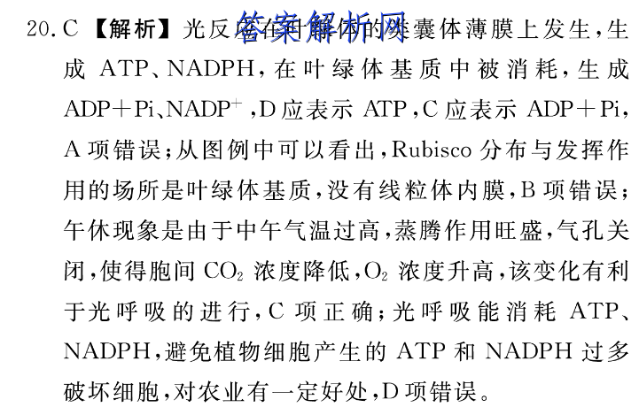 image.png@!test