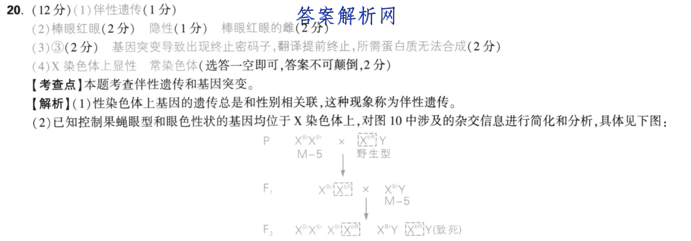 image.png@!test
