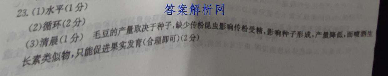 image.png@!test