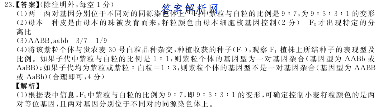image.png@!test