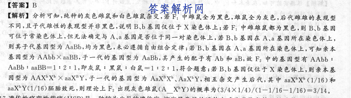image.png@!test