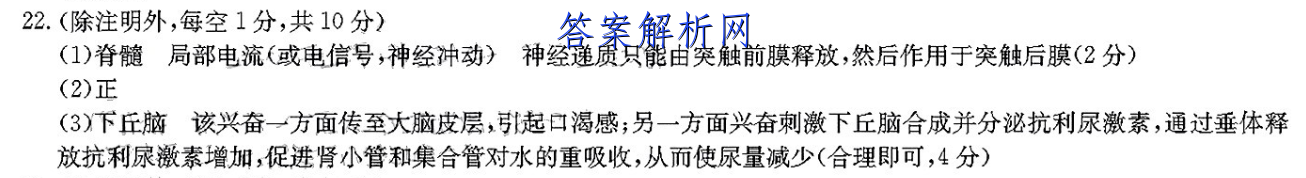 image.png@!test