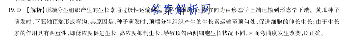 image.png@!test