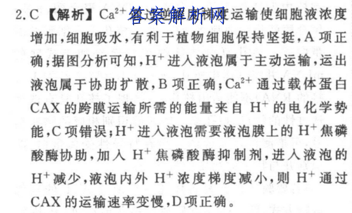 image.png@!test