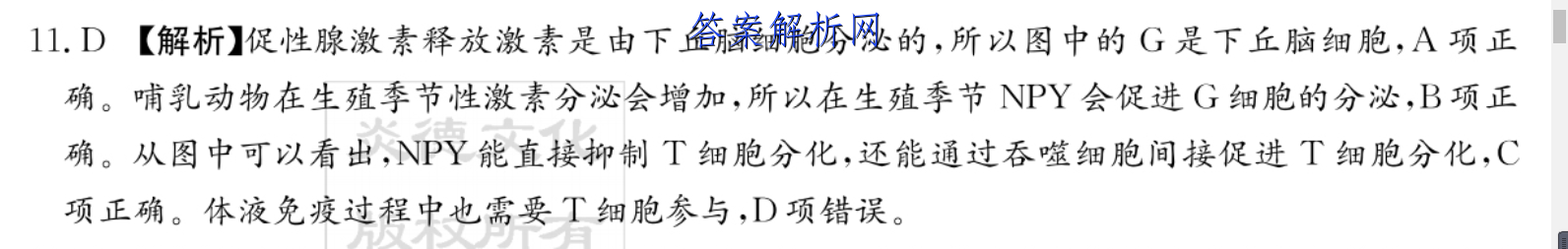 image.png@!test