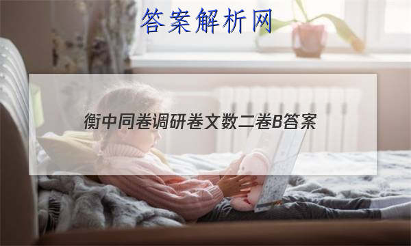 「2023衡中同卷调研卷文数二卷B 答案」衡中同卷2023调研卷文数