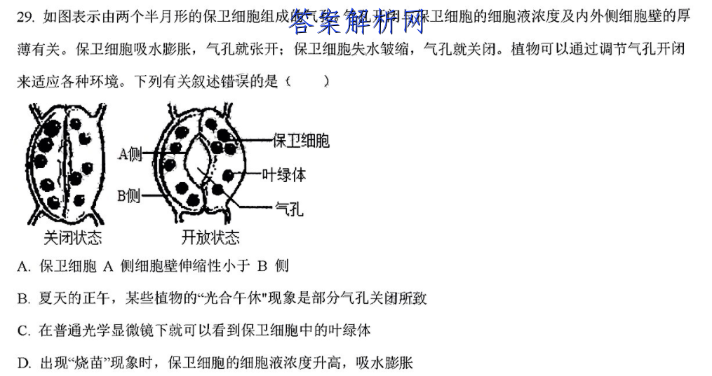 image.png@!test