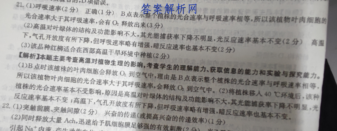 image.png@!test