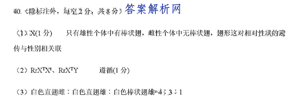 image.png@!test