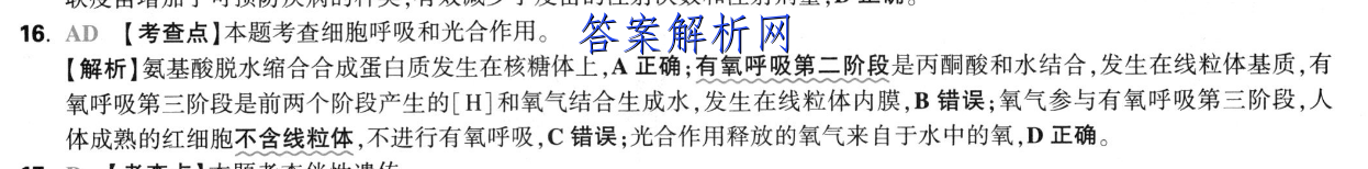 image.png@!test