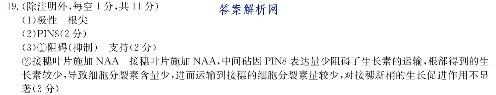 image.png@!test